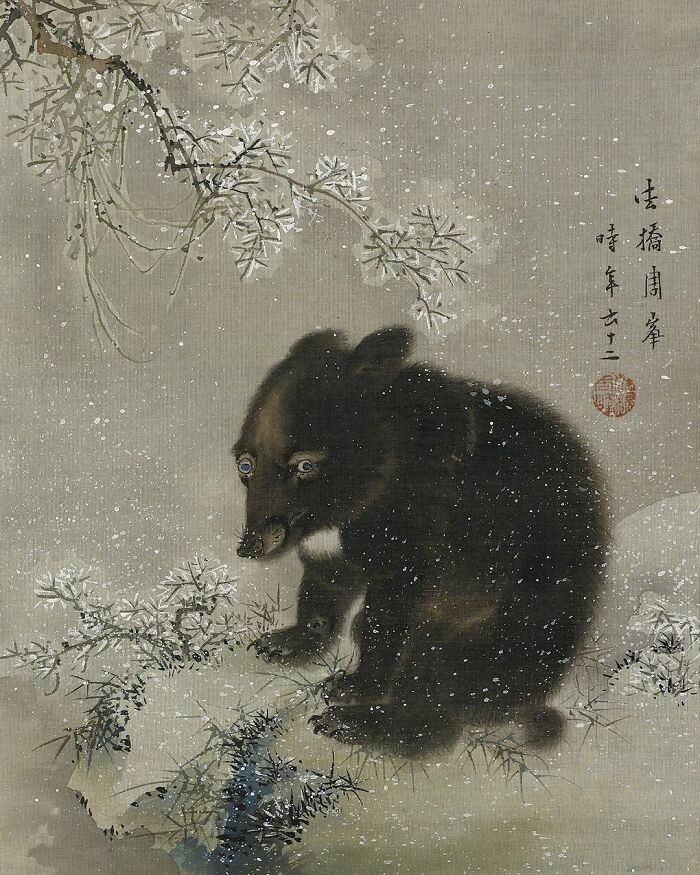 Młody czarny miś, 1799, Mori Shūhō (1728–1813), tusz i kolor na jedwabiu