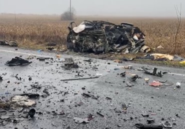 Poniżej dalsza część artykułu