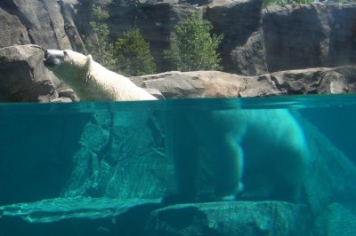 25 niewinnych zdjęć które musisz obejrzeć co najmniej dwa razy, żeby zrozumieć co się na nich znajduje! 