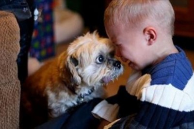 25 zdjęć które udowadniają, że każde dziecko powinno mieć zwierzaka! Dzięki temu lepiej się rozwija! 