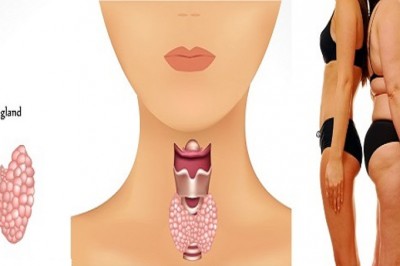 Dowiedz się jak zaangażować hormony w spalanie tłuszczu! Dzięki temu schudniesz o wiele łatwiej! 