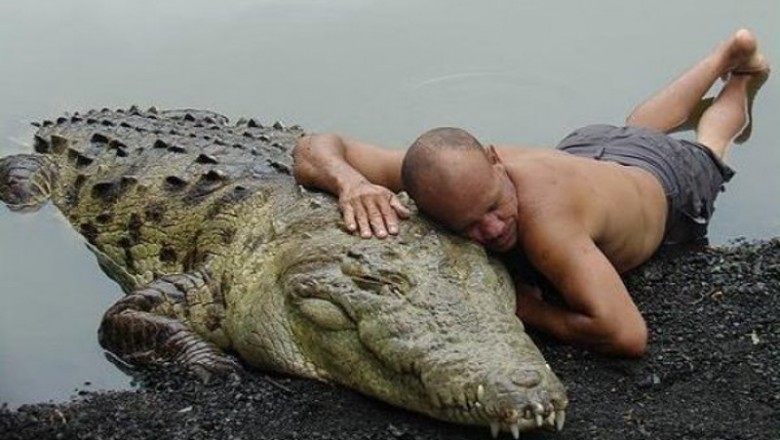 Facet zaprzyjaźnił się z 6 metrowym krokodylem któremu uratował życie!