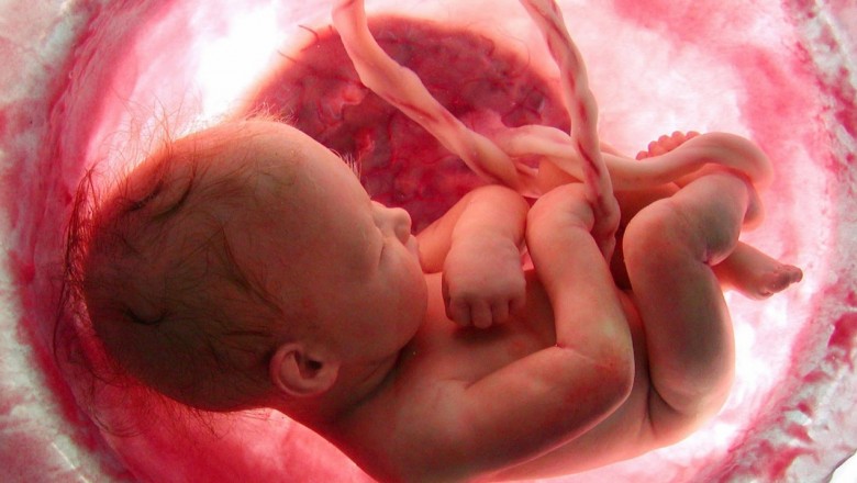 Magia nowego życia! Te wideo w 4 minuty pokazuje 9 miesięcy życia płodu od zapłodnienia do narodzin!
