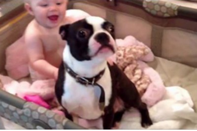 Mama karze psu wyskoczyć z kołyski dziecka! Jego nieposłuszeństwo wywołuje zaskakującą reakcje malucha!