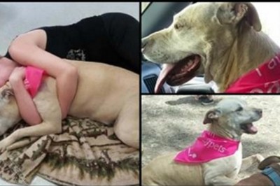 Musiała uśpić swoją ukochaną suczkę! Ostatnie chwile razem uchwyciła na wzruszających zdjęcia! 