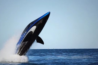 Nie tylko dla fanów zabawy na wodzie! Dawno nie widziałem czegoś tak niesamowitego! 