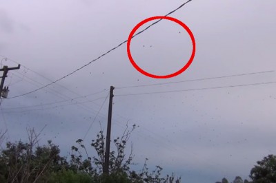 Patrząc w niebo był przekonany, że to ptaki! Gdy się przyjrzał dokładnie przeżył szok!