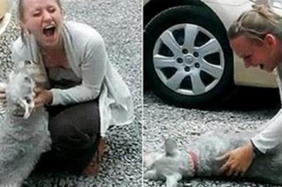 Pies nie widział właścicielki ponad dwa lata! To co stało się na pierwszym spotkaniu jest szokujące! 