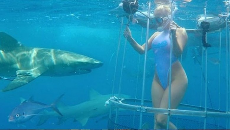 Podczas nagrania gwiazda filmów dla dorosłych zostaje zaatakowana przez rekina! Zobacz jej nogę!