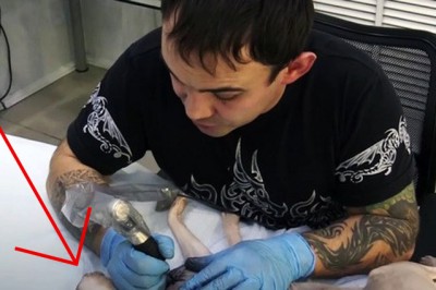 Postanowił wytatuować swojego kota! Na widok co zrobił zwierzęciu ludzie są wściekli! 
