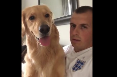 Powiedział psu, że będzie miał małego braciszka! Mina psa...po prostu nie uwierzysz jak zobaczysz!