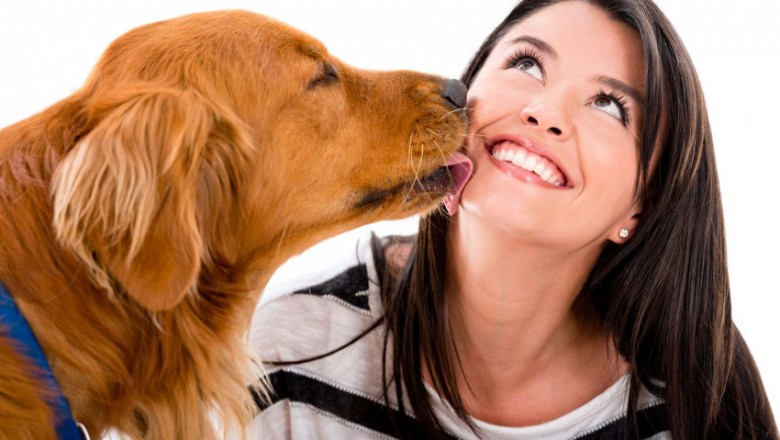 Poznaj 8 powodów dla których powinnaś pozwolić psu lizać się po twarzy! Dotychczas tego unikałam! 