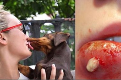 Pozwalasz psu lizać się po twarzy? Przeczytaj czym to może grozić tobie i bliskim! 