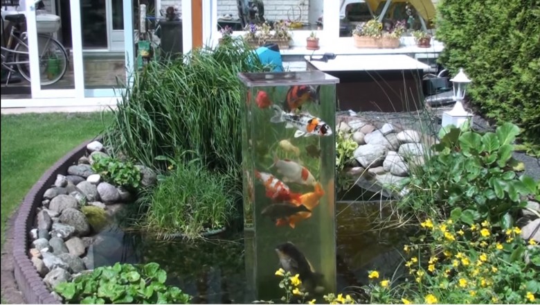 Rewelacyjny pomysł na oryginalny ogród! Wieża widokowa dla rybek w oczku wodnym! 
