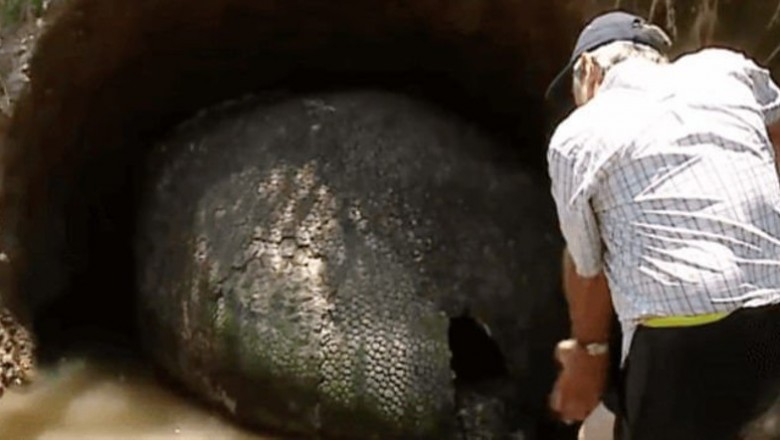 Rolnik znajduje metrowe "jajo dinozaura" na swoim polu! Gdy je odkopali poznali zaskakującą prawdę!