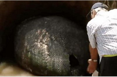 Rolnik znajduje metrowe 