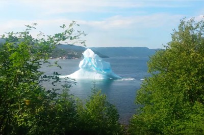 Rozpadająca się góra lodowa w pobliżu plaży wywołuje spektakularną falę.
