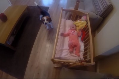 Słyszała, że jej dziecko płacze w kołysce! Gdy weszła do pokoju zobaczyła jak pies robi coś niesamowitego! 