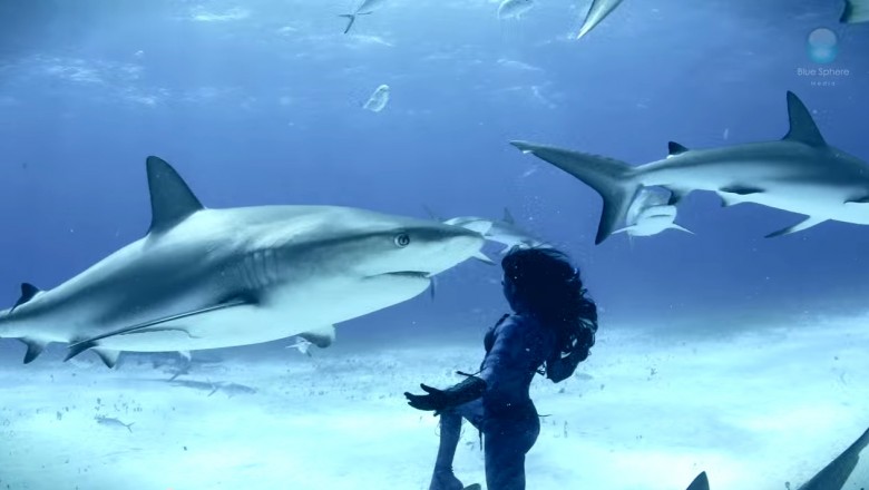 Ta kobieta wskakuje między rekiny niemal naga. Następnie zaczyna z nimi tańczyć.