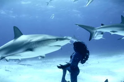 Ta kobieta wskakuje między rekiny niemal naga. Następnie zaczyna z nimi tańczyć.