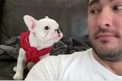 Tata powiedział szczeniaczkowi, że jest bardzo przystojny w czerwonej chuście! Reakcja psa jest cudna! 