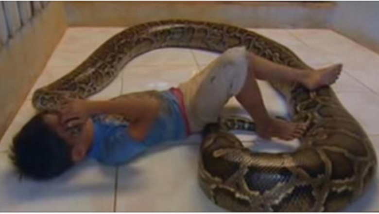 Te dziecko spało każdej nocy ze swoim wężem! Zobacz do czego doszło po 11 latach przyjaźni! 