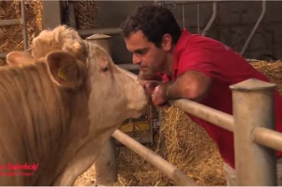 Ten byk całe życie spędził zamknięty w klatce! Jego reakcja gdy poczuł wolność wyciska łzy! 