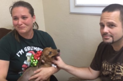 Weterynarz zrobił TO ich psu bez mówienia właścicielom... byli niesamowicie poruszeni! Szacunek!