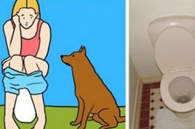 Jeśli Twój pies zawsze idzie z Tobą do toalety to znaczy, że chce przekazać bardzo ważna wiadomość!