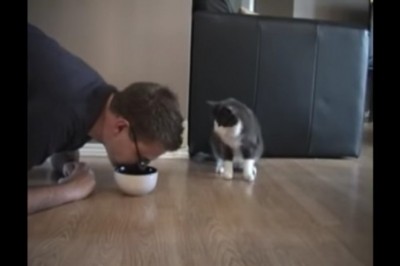 Udaje że podjada jedzenie z miseczki swojego zwierzaka! Reakcja kota jest po prostu bezbłędna.