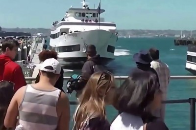 Rozpędzony statek wbija się w nabrzeże z turystami! Babcia w czerwonym dresie oszukała przeznaczenie!