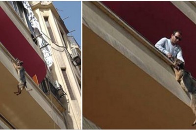 Więzili psa na balkonie na 3 piętrze. W końcu postanowił skoczyć, żeby się uwolnić!