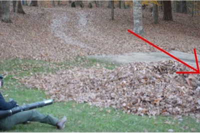 Mało na zawał nie zszedł! Robisz sobie porządek z liśćmi a tu taka niespodzianka :D