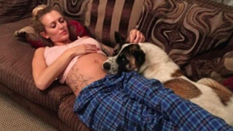 Pies nie przestawał szczekać i obwąchiwać jej ciążowego brzuszka! Nie miała pojęcia że próbuje ją uratować! 