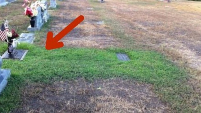 Byli zaskoczeni, że trawa na grobie ich syna jest zielona mimo suszy! Wytłumaczenie pojawiło się szybko! 