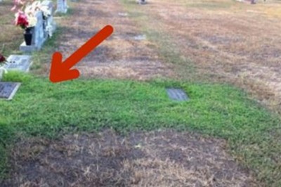Byli zaskoczeni, że trawa na grobie ich syna jest zielona mimo suszy! Wytłumaczenie pojawiło się szybko!