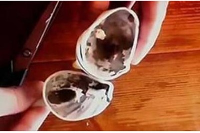 Uważaj! Tzw trupia pleśń atakuje nasze dzieci i to w najmniej spodziewanym miejscu!