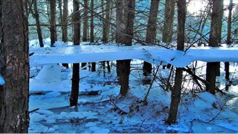 Lewitujący lód w środku lasu to niesamowicie rzadkie zjawisko! Odkryli je mieszkańcy wsi w Wielkopolsce! 