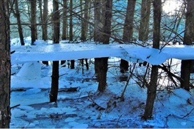 Lewitujący lód w środku lasu to niesamowicie rzadkie zjawisko! Odkryli je mieszkańcy wsi w Wielkopolsce! 