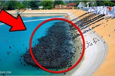 13 zaskakujących pomysłów, które świetnie się sprawdziły w życiu! Zobacz jak można zmienić miasto!