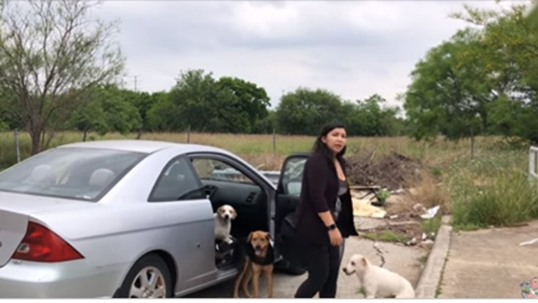 Przyłapała ich gdy wyrzucali psy z auta na końcu drogi! Jak zaczęła nagrywać szybko uciekli!