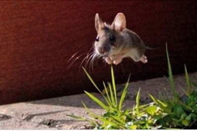 Te zdjęcia zrobiono w idealnym momencie! Nie mam pojęcia jak udało im się uchwycić nr 6!