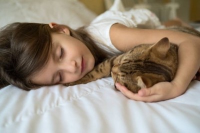 To są konsekwencje spania z kotem w łóżku! Podejrzewałam to, ale teraz badania to potwierdzają! 