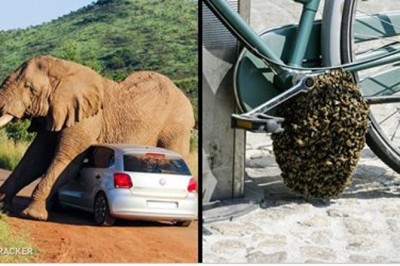 18 przykładów na to, że gdy zaplanujesz sobie idealny dzień, życie da Ci kopniaka! Zawsze tak mam!