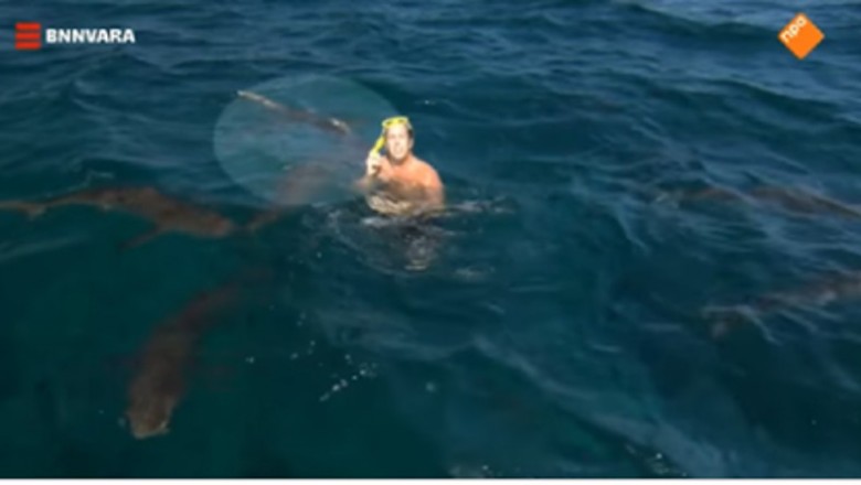 Mocne nagranie z ataku rekinów na prezentera telewizyjnego! Cudem uratował swoje ramie!