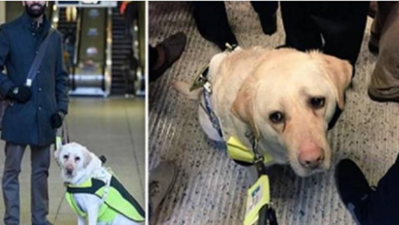 Niewidomy lekarz rozpłakał się po tym, jak ludzie potraktowali jego i jego psa przewodnika w metrze! 