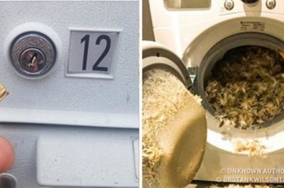 Ci ludzie naprawdę poczuli co to znaczy „mieć pecha”! Jak masz gorszy dzień, koniecznie spójrz na te zdjęcia!