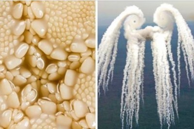 20 zaskakujących fotografii z całego świata! Takie rzeczy naprawdę istnieją i można to zobaczyć! 