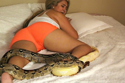 Chłopak dla żartu wrzuca dwa wielkie węże do łóżka śpiącej dziewczyny! Tym razem przegiął!