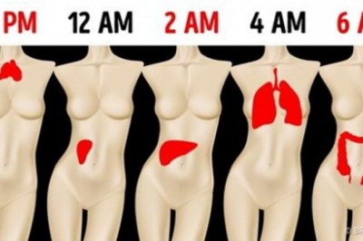 Dlaczego budzisz się każdej nocy o tej samej porze? Może to oznaczać problemy z konkretnymi organami!